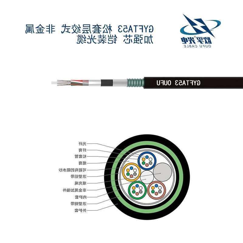 广西GYFTA53光缆