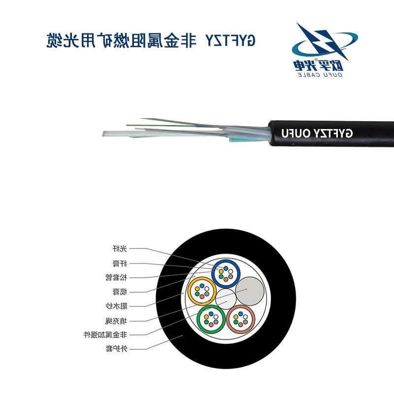 江津区GYFTZY光缆